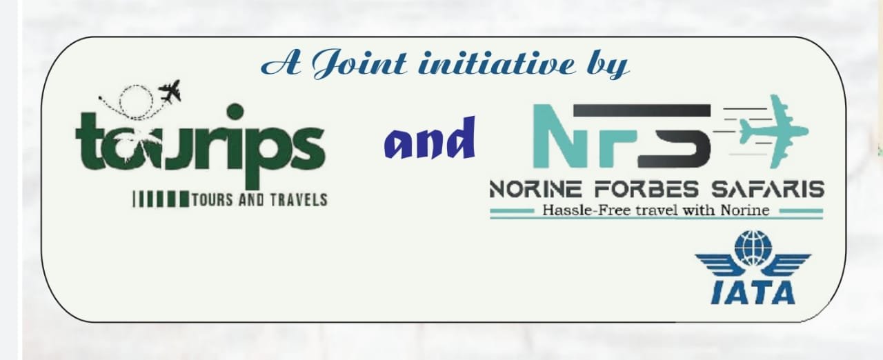 African Safari from India Tour Company Package Guide