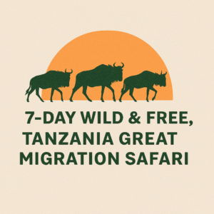 Tanzania Great Migration Safari