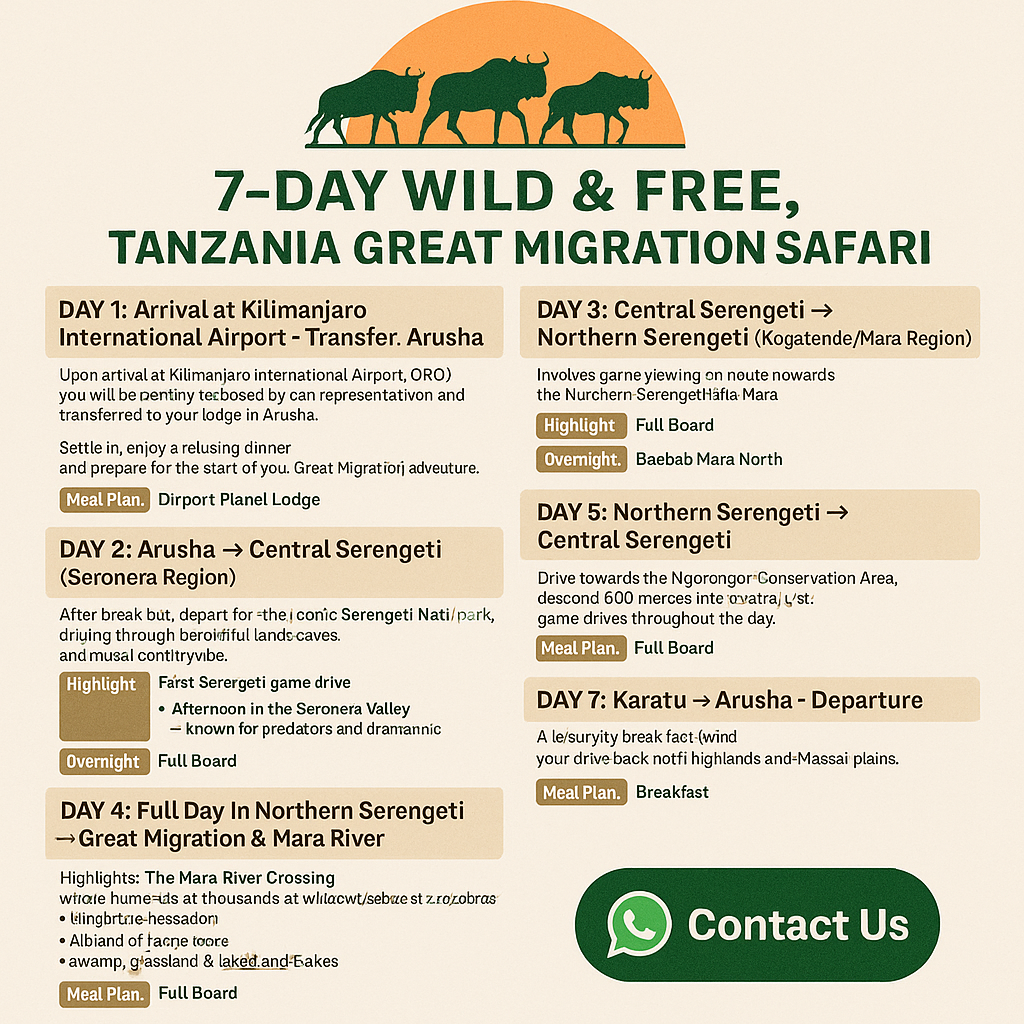 Tanzania Great Migration Safari